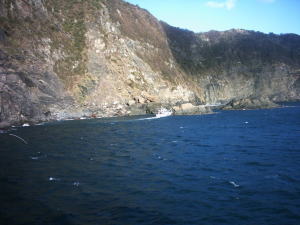 鶴見大島の写真